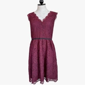 Loft Lace Holiday Cocktail Dress - Burgundy
